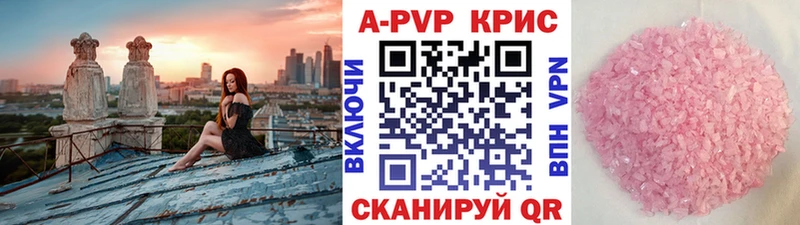 A PVP СК КРИС  Жуков 