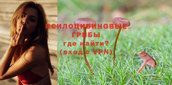 альфа пвп Беломорск